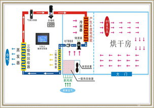 15P大型水果清洗烘干干燥設備生產線 智能清潔機械引領行業革新