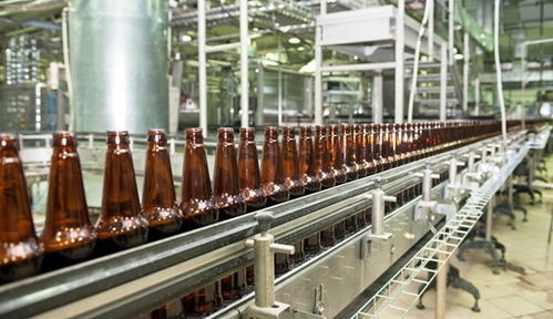 食品產業智能化轉型 國產設備智能化與清潔機械的提升路徑